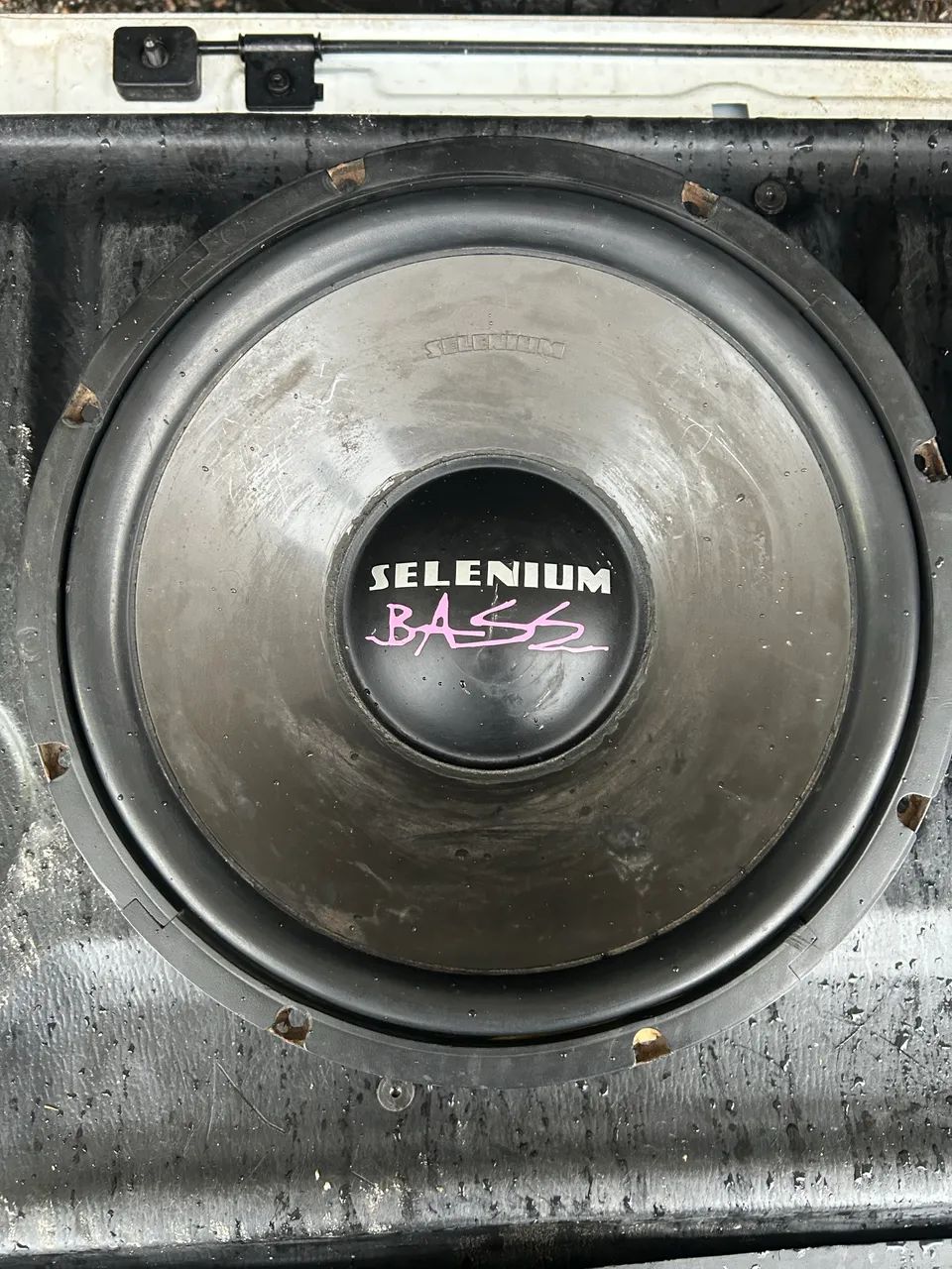 Selenium Bass - Foto 2