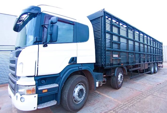 SCANIA/P 270 BAIODEIRA - Foto 5