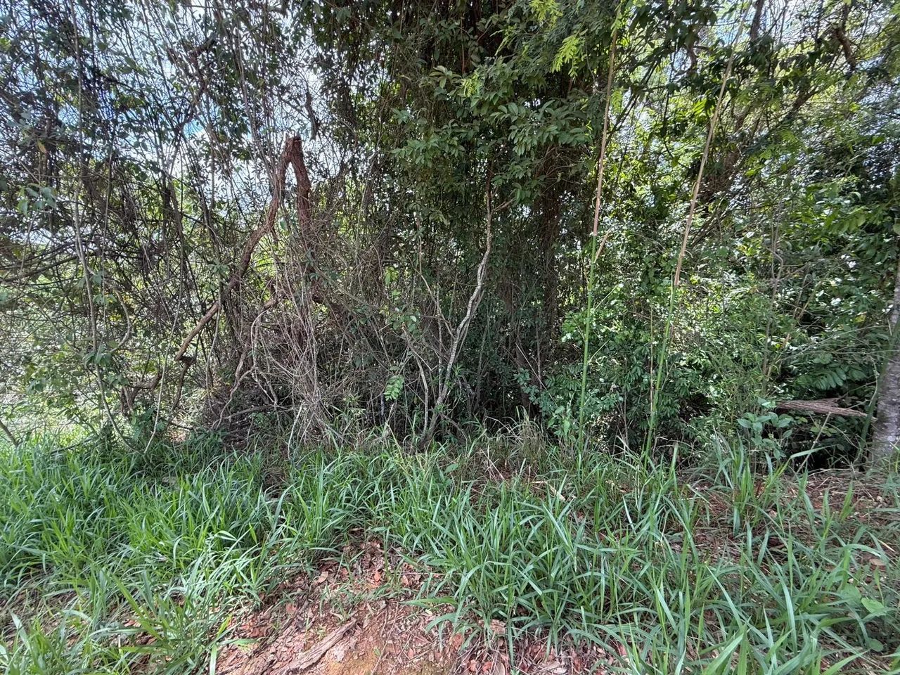 Terreno módulo rural em juatuba  - Foto 3