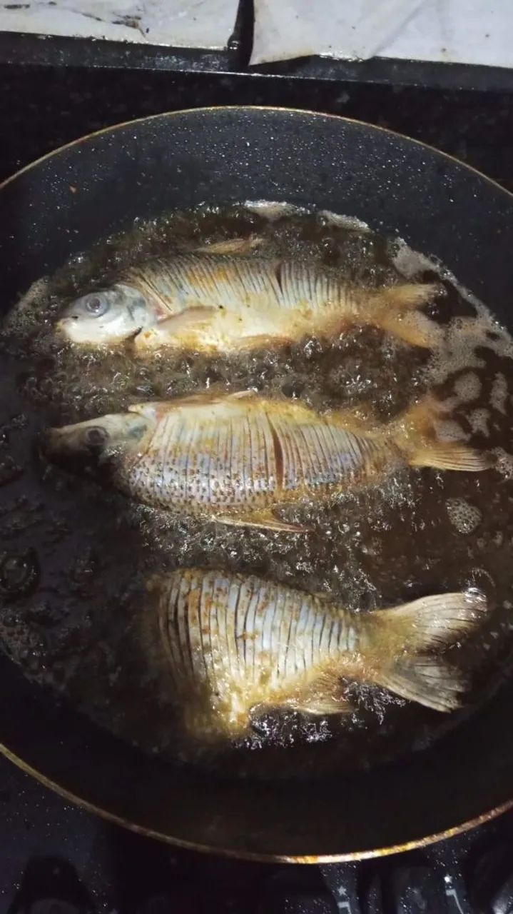 Rancho ótimo para pesca e lazer  - Foto 2
