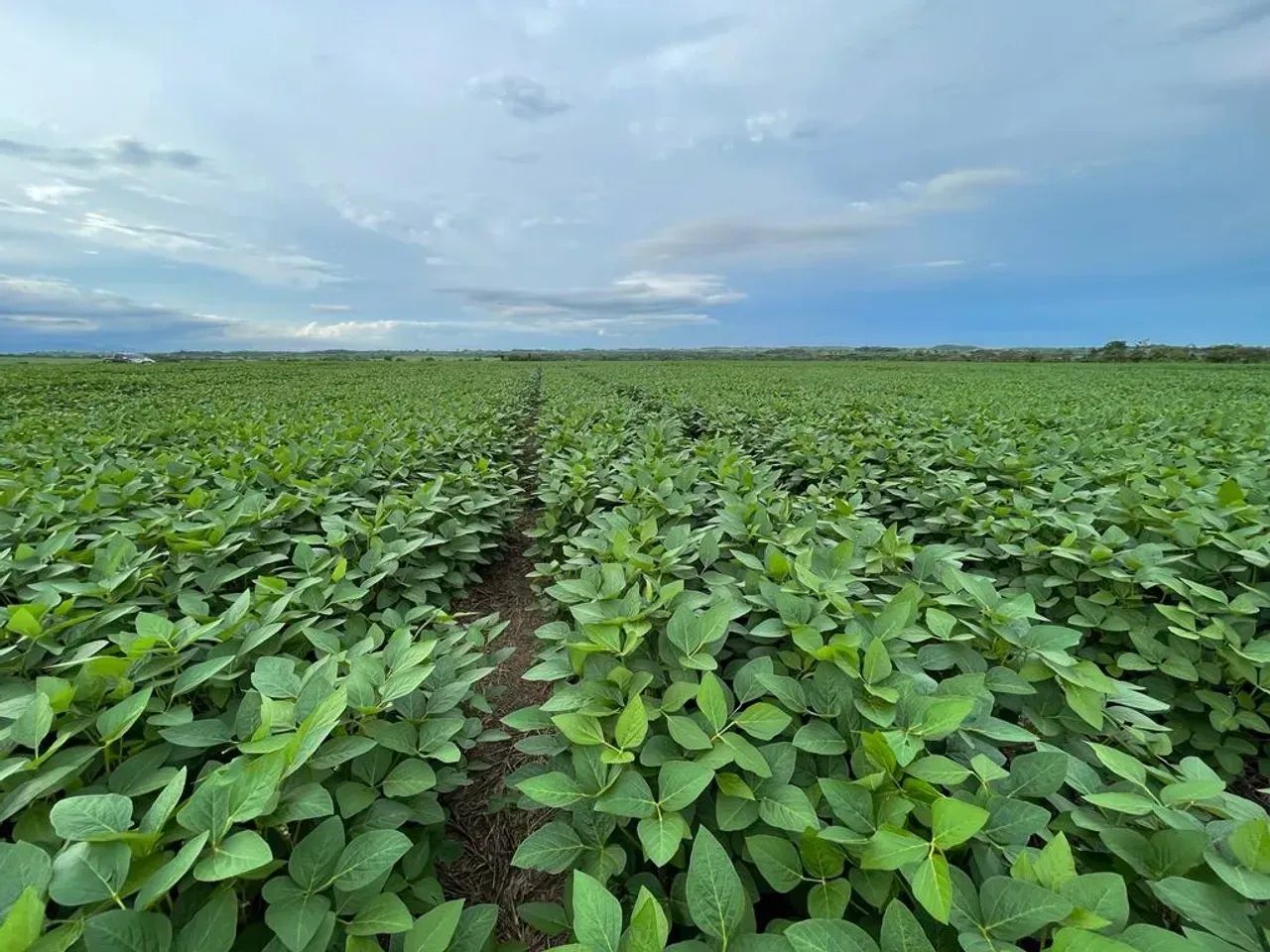Fazenda a venda, em Redenção - Pará!!!