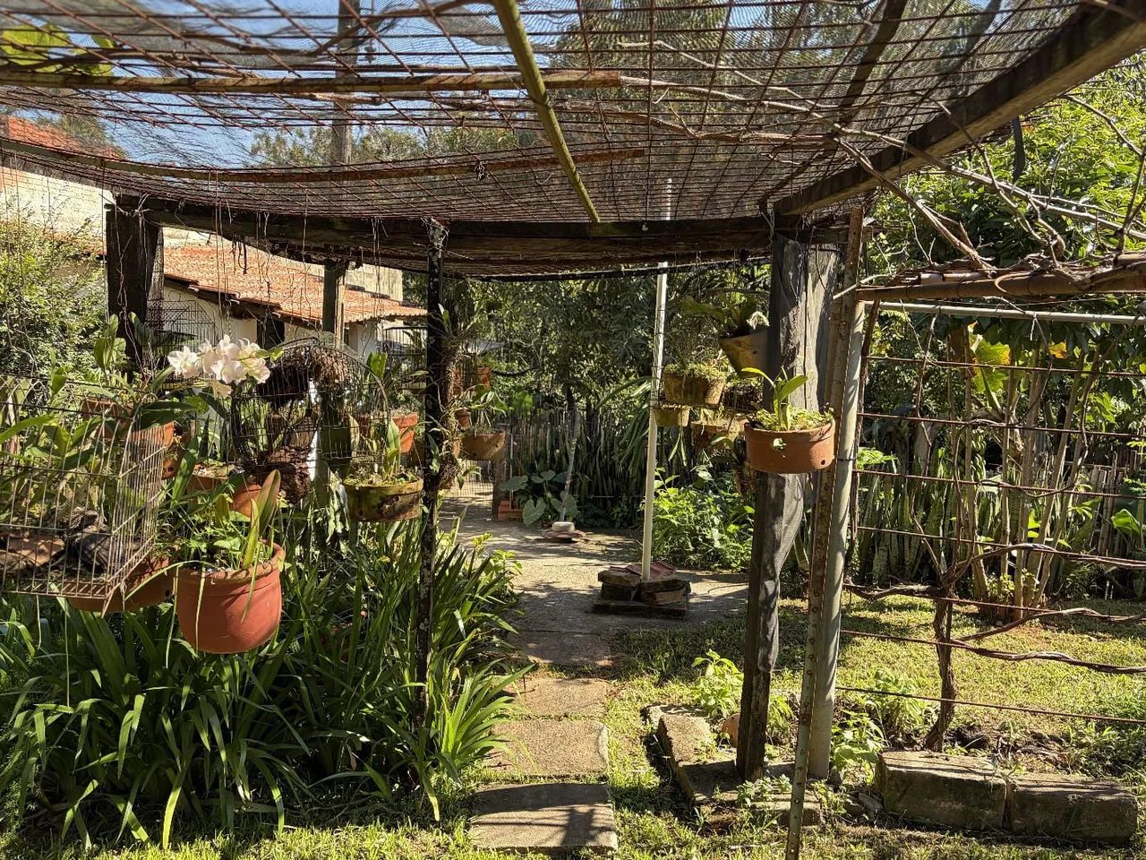 Excelente Chácara a venda  - Foto 4