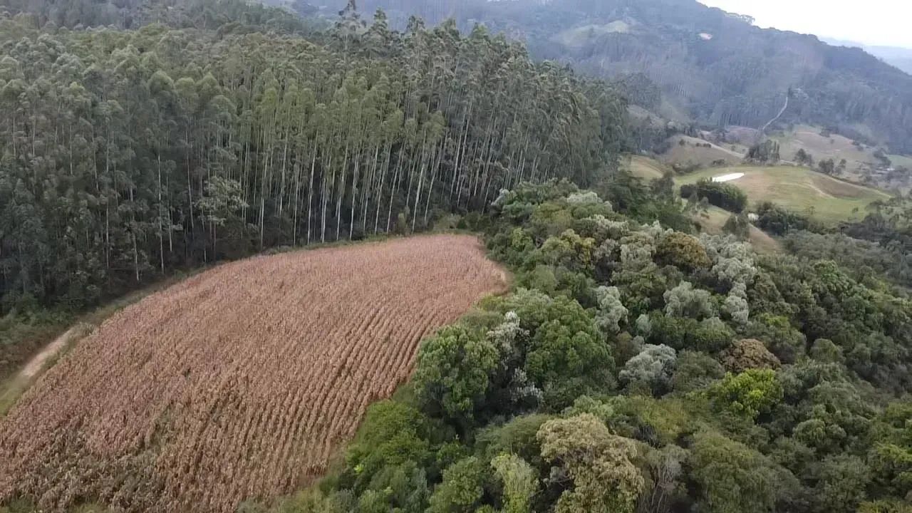 Sitio com linda vista em Anitápolis - SC - Foto 2