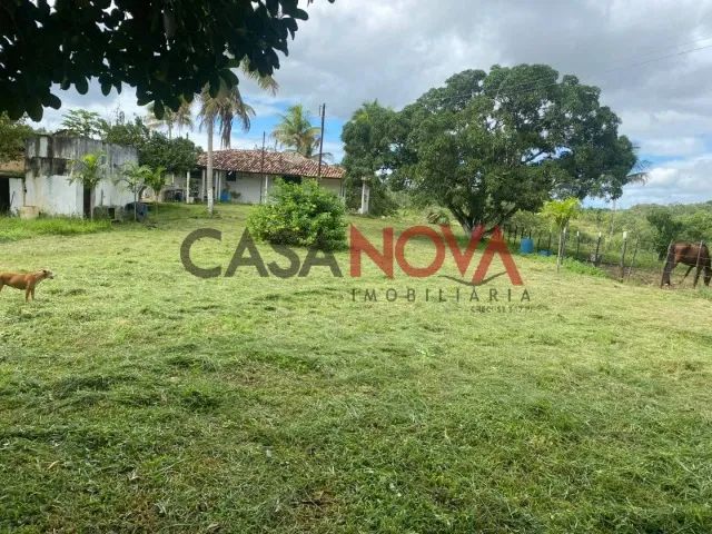 Fazenda com 72,5 tarefas em Itaporanga D'Ajuda - Foto 3