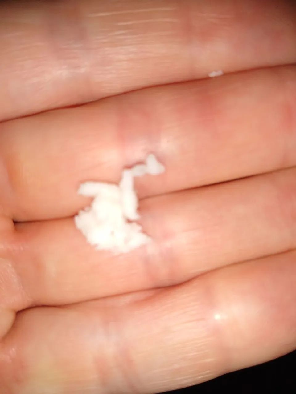 KEFIR doa-se (bichinho do iogurte) - Foto 3