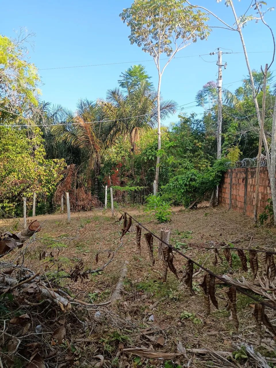 Terreno Comunidade do Livramento  - Foto 2