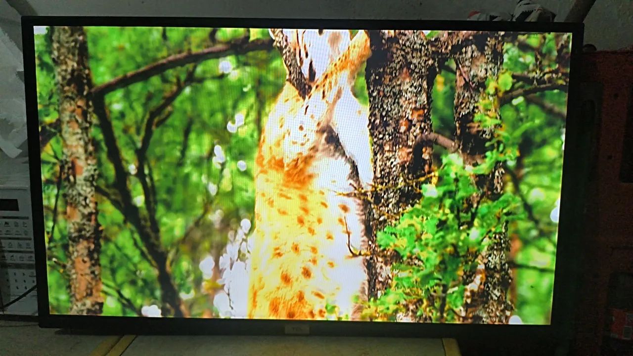 Tv Smart TCL 43 Polegadas Android Top de Verdade  - Foto 3