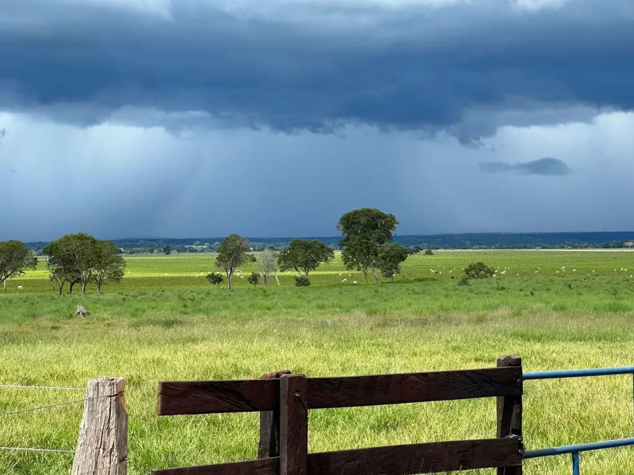 Fazenda a venda em  - Araguaçu - Tocantins - Foto 4