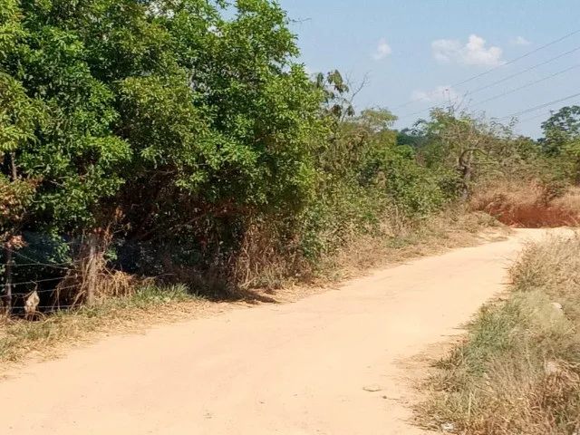 Oportunidade: Área de 9.500m² em Senador Canedo - Foto 3