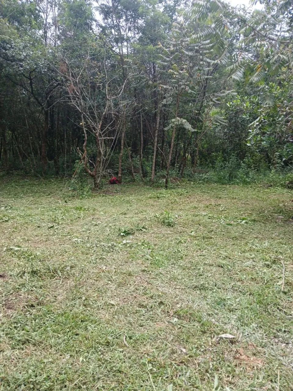 Fazendinha de 40.000 m2 
