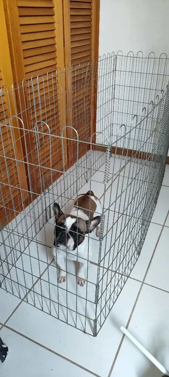 Cercadinho para pets em metal - Foto 2