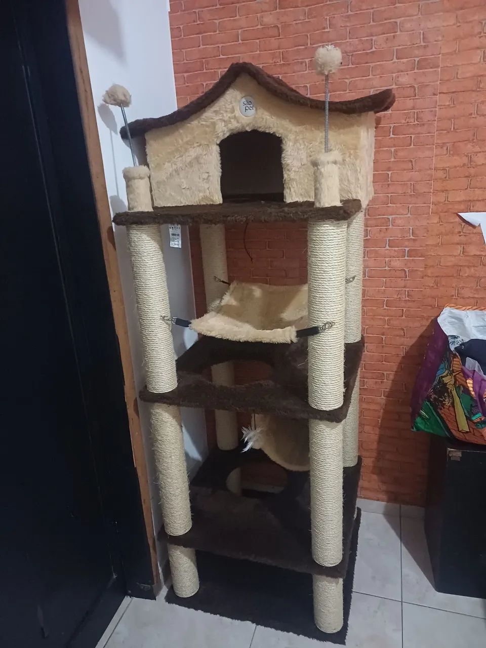 Aranhdor de gato - Foto 2