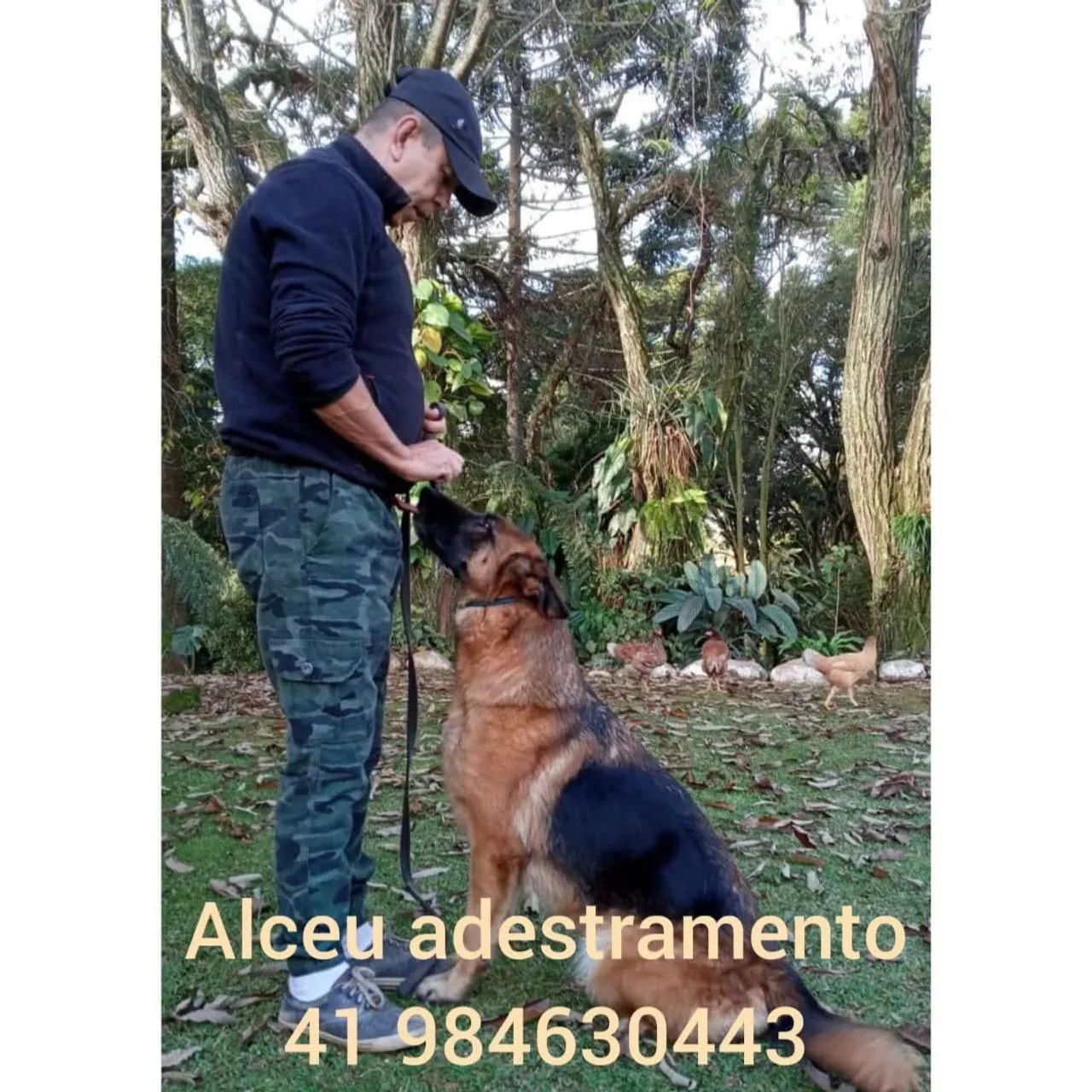 Adestramento.