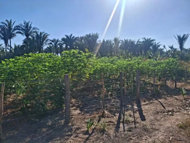 Terreno 20x60 m²  Valor Negociável, aceitamos troca em moto. Pov Campestre Norte. - Foto 4