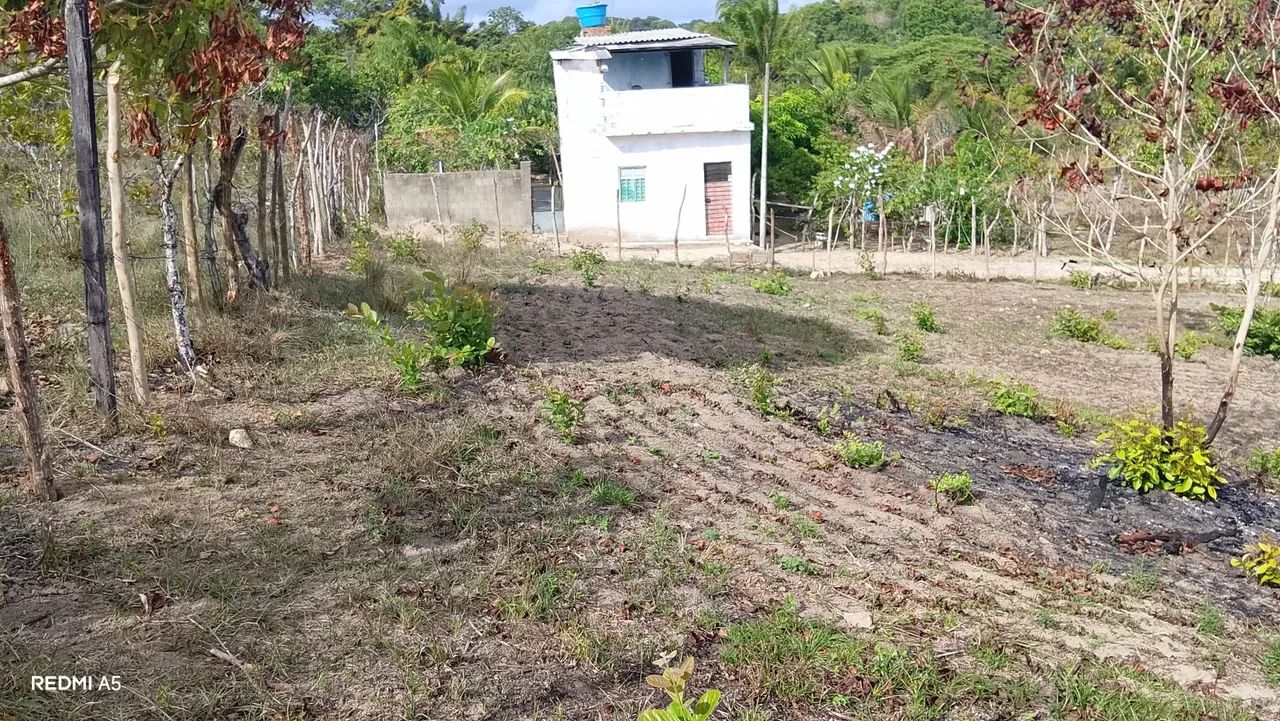 Foto - Jaboatão dos Guararapes - Piedade