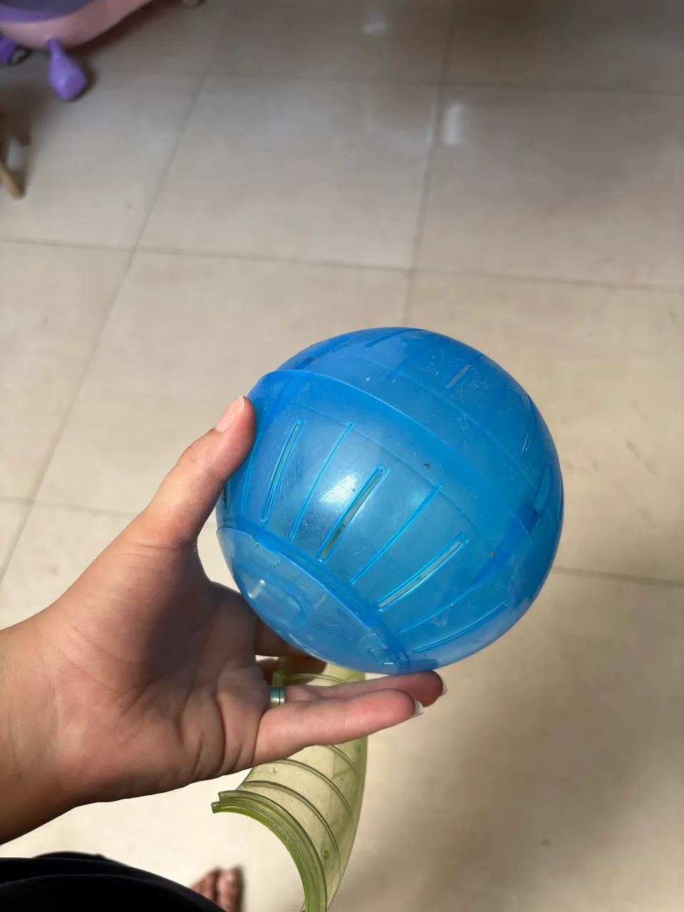 Bolinha Globo hamster passear  - Foto 3
