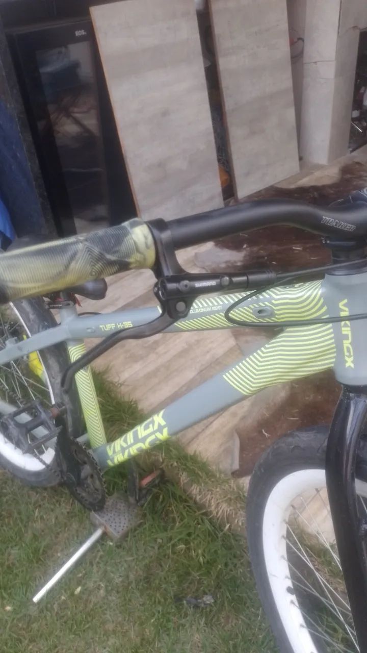 Bike Viking  - Foto 2