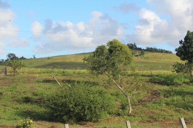 Sitio Próximo à Aracaju - Foto 3