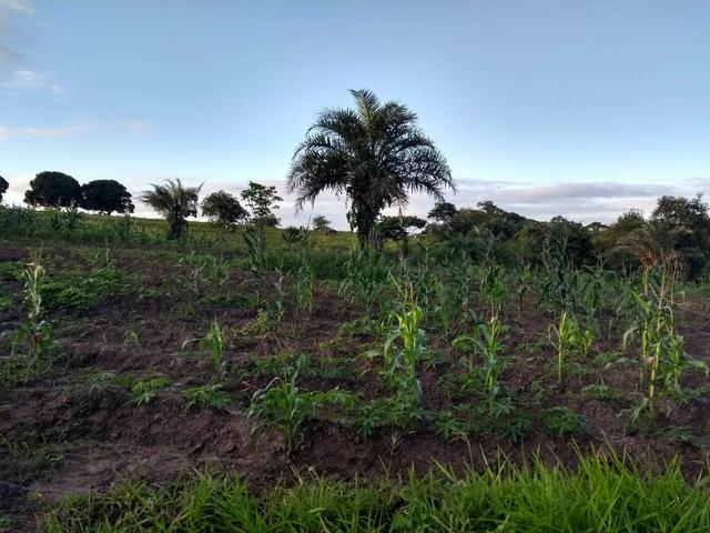 Sitio Próximo à Aracaju - Foto 9