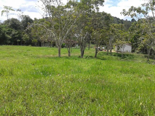 Sitio - Foto 11