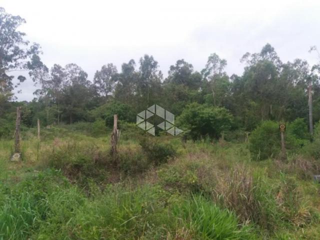 Terreno à venda em Lami, Porto alegre cod:TE1074 - Foto 16