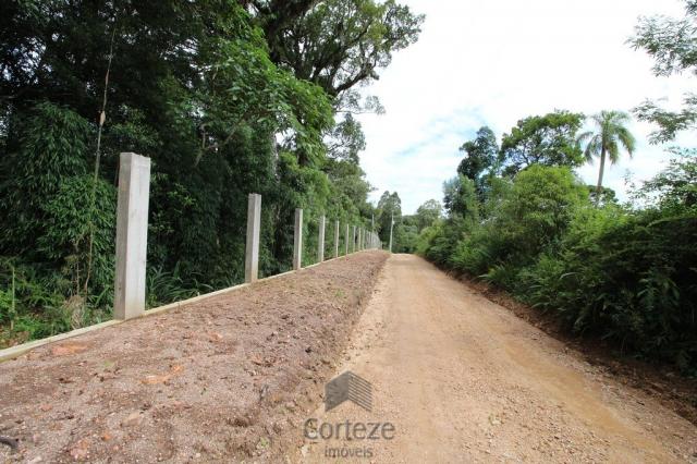 Terreno rural com 4.000 m² no Borda do Campo - Foto 2