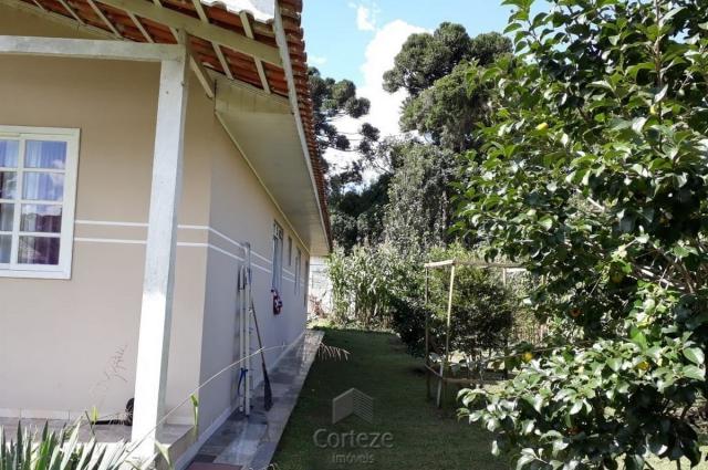 Chácara com 42.350,00m² em Agudos do Sul - Foto 5