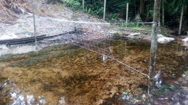 Vendo uma Chácara em João Alves-Morros - Foto 14