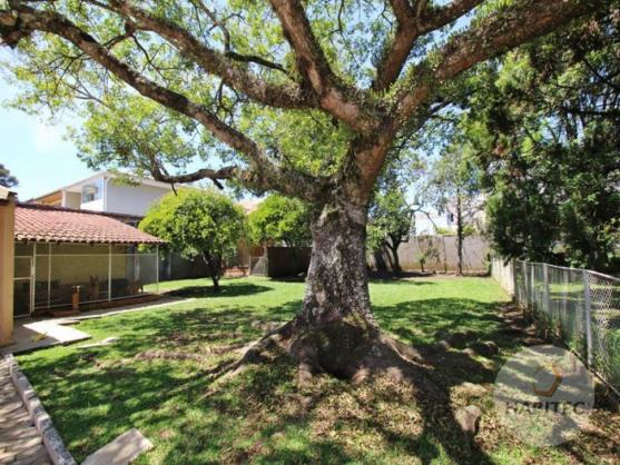 Terreno à venda em Jardim das américas, Curitiba cod:1462 - Foto 3