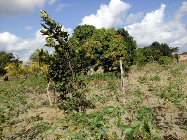 Vendo um Terreno - Foto 4