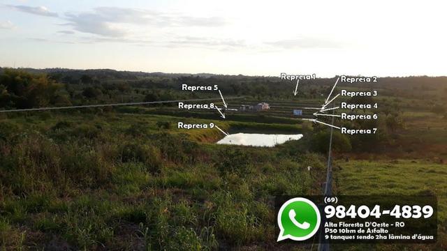 Chácara com 9 Represas no Asfalto em Alta Floresta - Foto 10