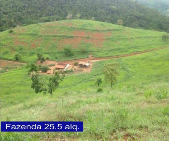 Adquira Já Seu Imovel Rural - Foto 6