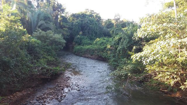 (Fazenda com 297ha em Mato Grosso) no município de Alto Paraguai(MT-409 KM35) - Foto 17