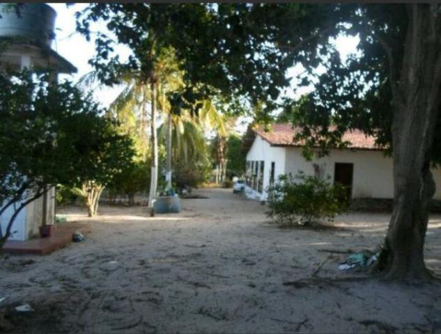 Vendo Chacara no cumbique por R$ 85 mil reais - Foto 3
