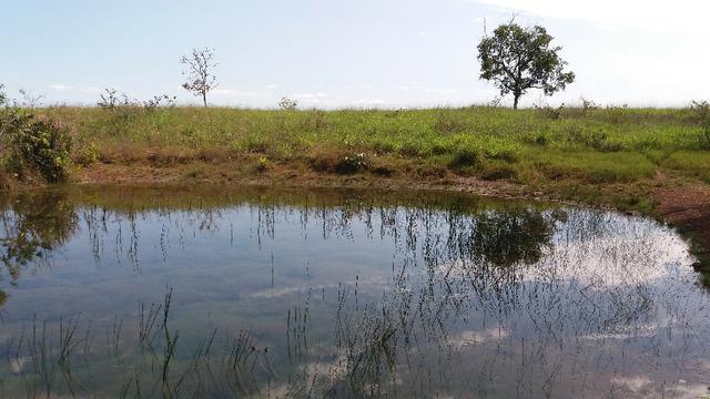 (Fazenda com 297ha em Mato Grosso) no município de Alto Paraguai(MT-409 KM35) - Foto 15