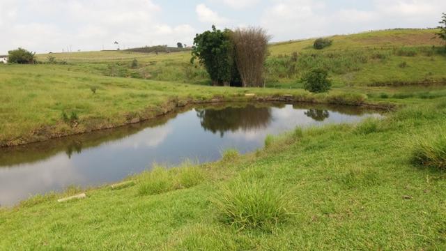 Sítio otima topografia com 10 A|lqueires - Bairro Pouso Alegre - Foto 14