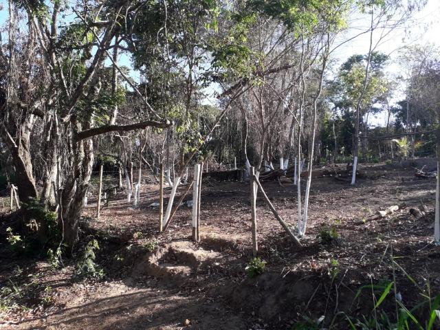 Terreno em Pindobal - Bambuí - Maricá - Foto 5