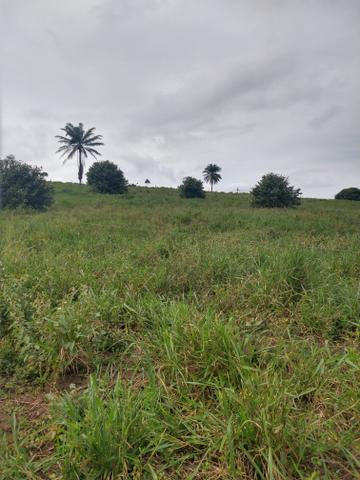 Vendo Fazendas - Foto 6