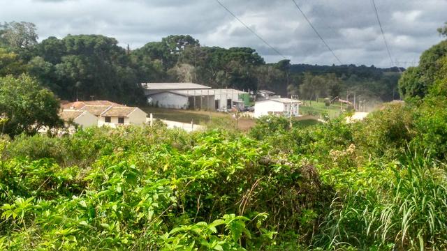 Alugo terreno - Foto 2