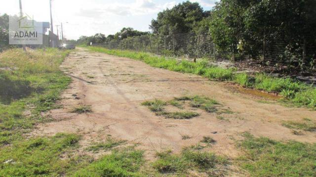 Terreno residencial à venda, Bela Vista, Rio das Ostras. - Foto 4