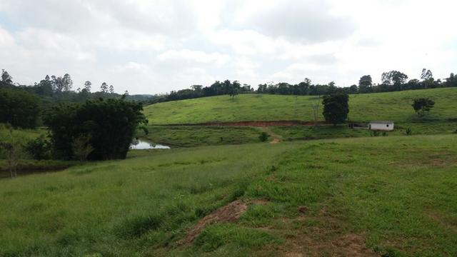 Sítio otima topografia com 10 A|lqueires - Bairro Pouso Alegre - Foto 18