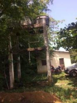 Granja-Chácara-Sítio 1,6 Hectares em Olinda, Aceito Automóvel ou imóvel - Foto 12