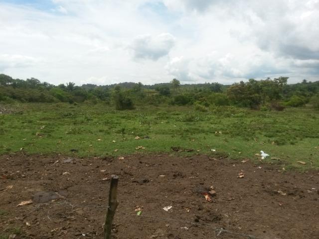 Candeias.Área com 165.000 M2.Zona Industrial.Localizacao Estratégica! - Foto 8