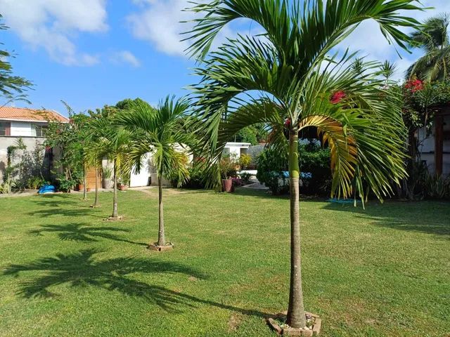 Alugo um espaço para eventos  no pq aracagy  - Foto 6