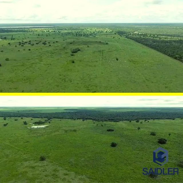 Fazenda no vale do Araguaia com 40.600 hectares  - Foto 4