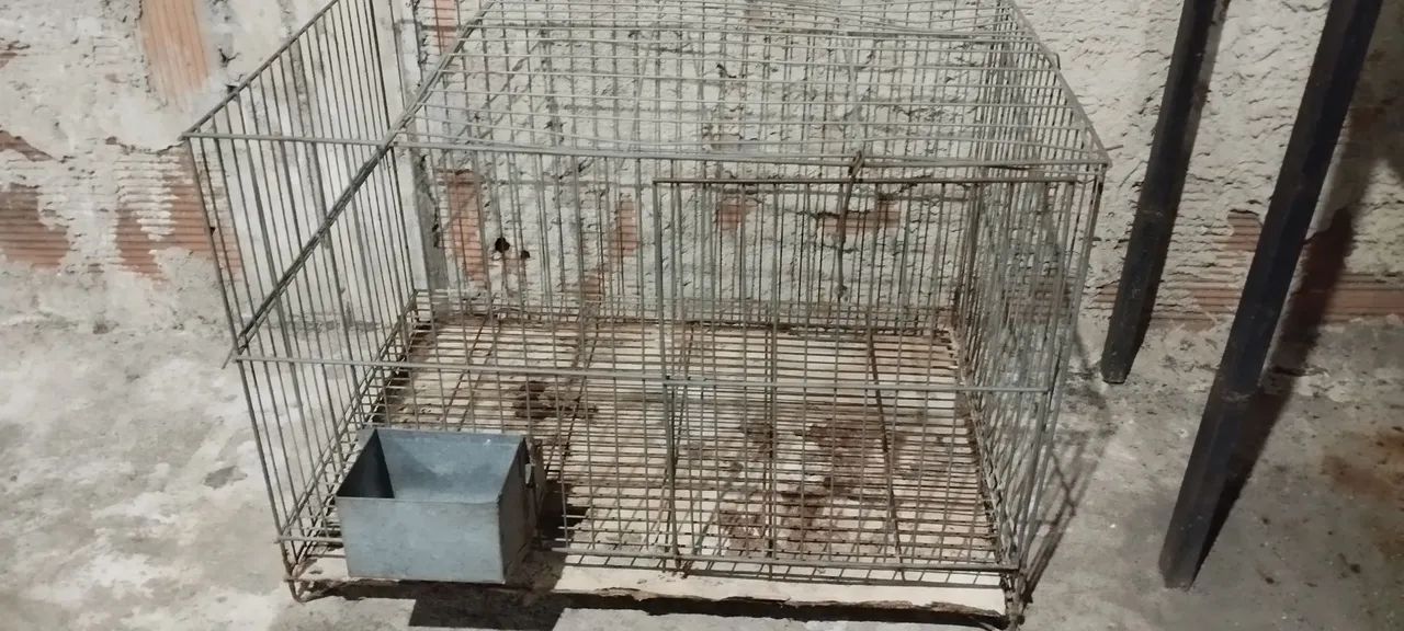 Gaiola para Roedores - Aceito ofertas - Foto 6