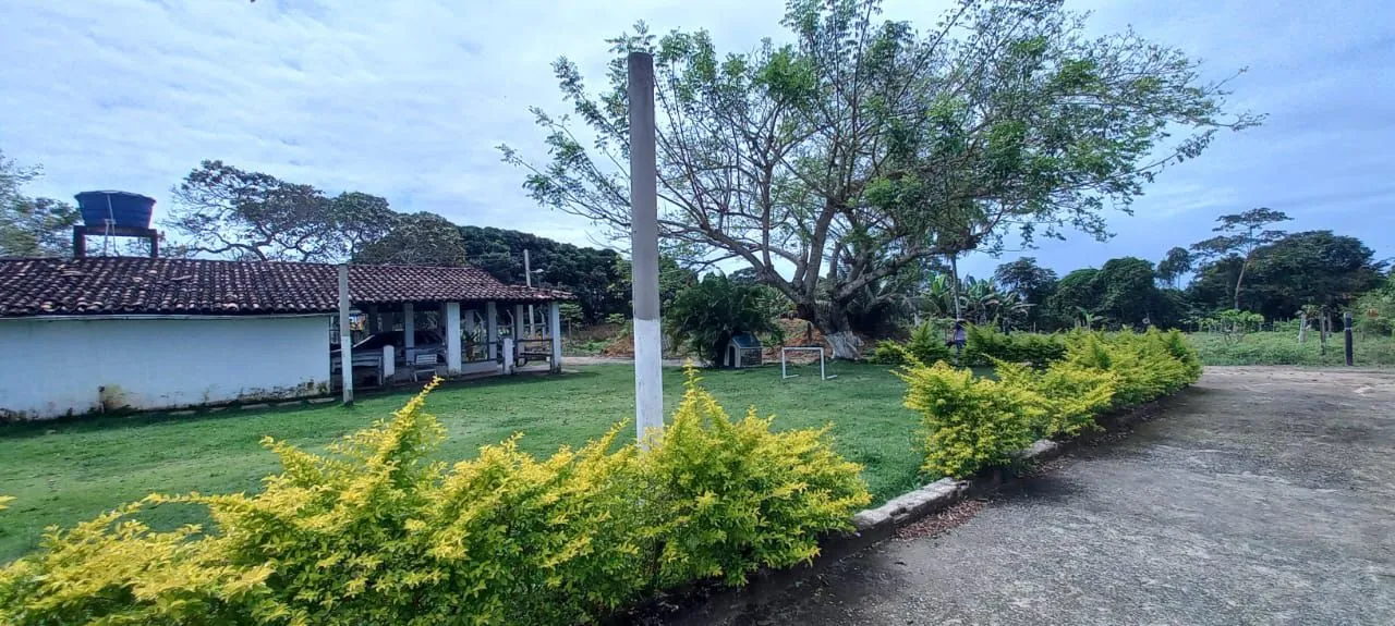 Fazenda - Em Coqueiro Seco Alaagoas pequena propriedade