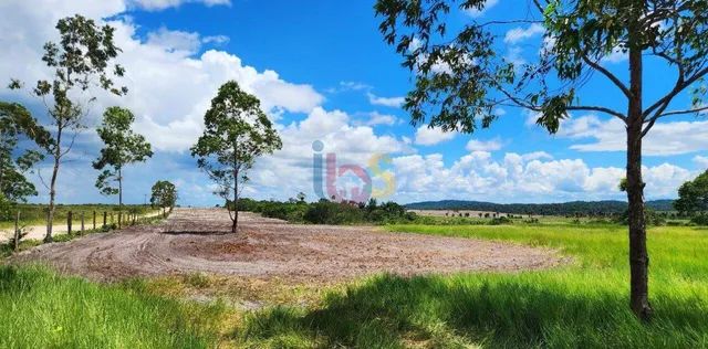 FAZENDA TRIÂNGULO - Foto 4