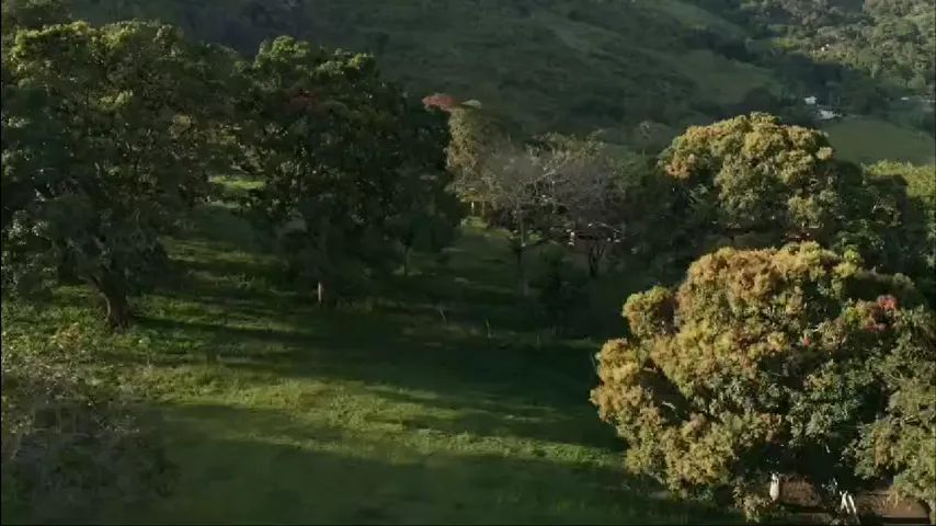 Fazenda em Bonito/PE à Venda (FA0084-DV) - Foto 3