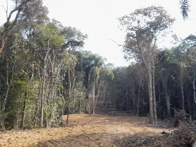 Sítio 24,7 Hectares, açude, riacho, pastagem - 4ª Linha, Angelina  - Foto 5